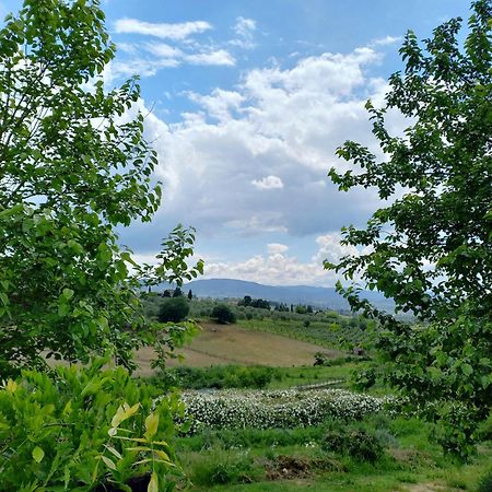 Agriturismo Fattoria Di Maiano Fiesole Dış mekan fotoğraf