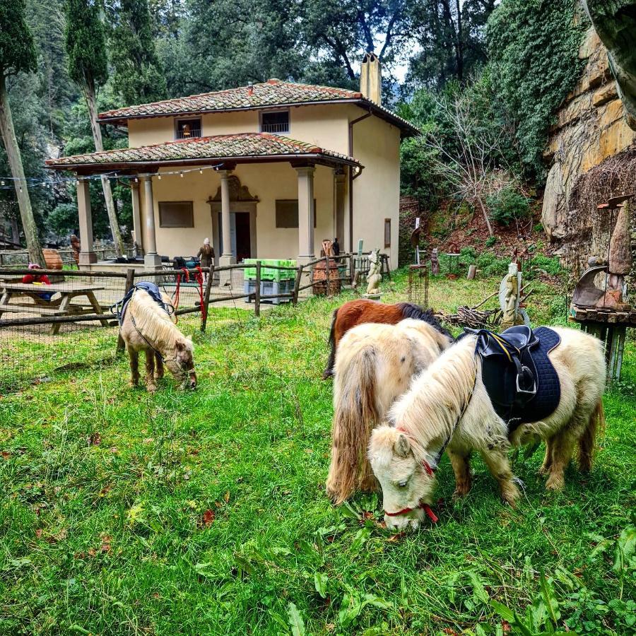 Agriturismo Fattoria Di Maiano Fiesole Dış mekan fotoğraf
