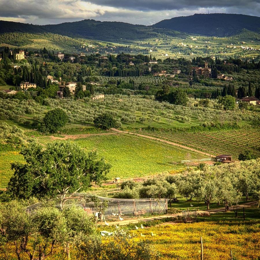 Agriturismo Fattoria Di Maiano Fiesole Dış mekan fotoğraf