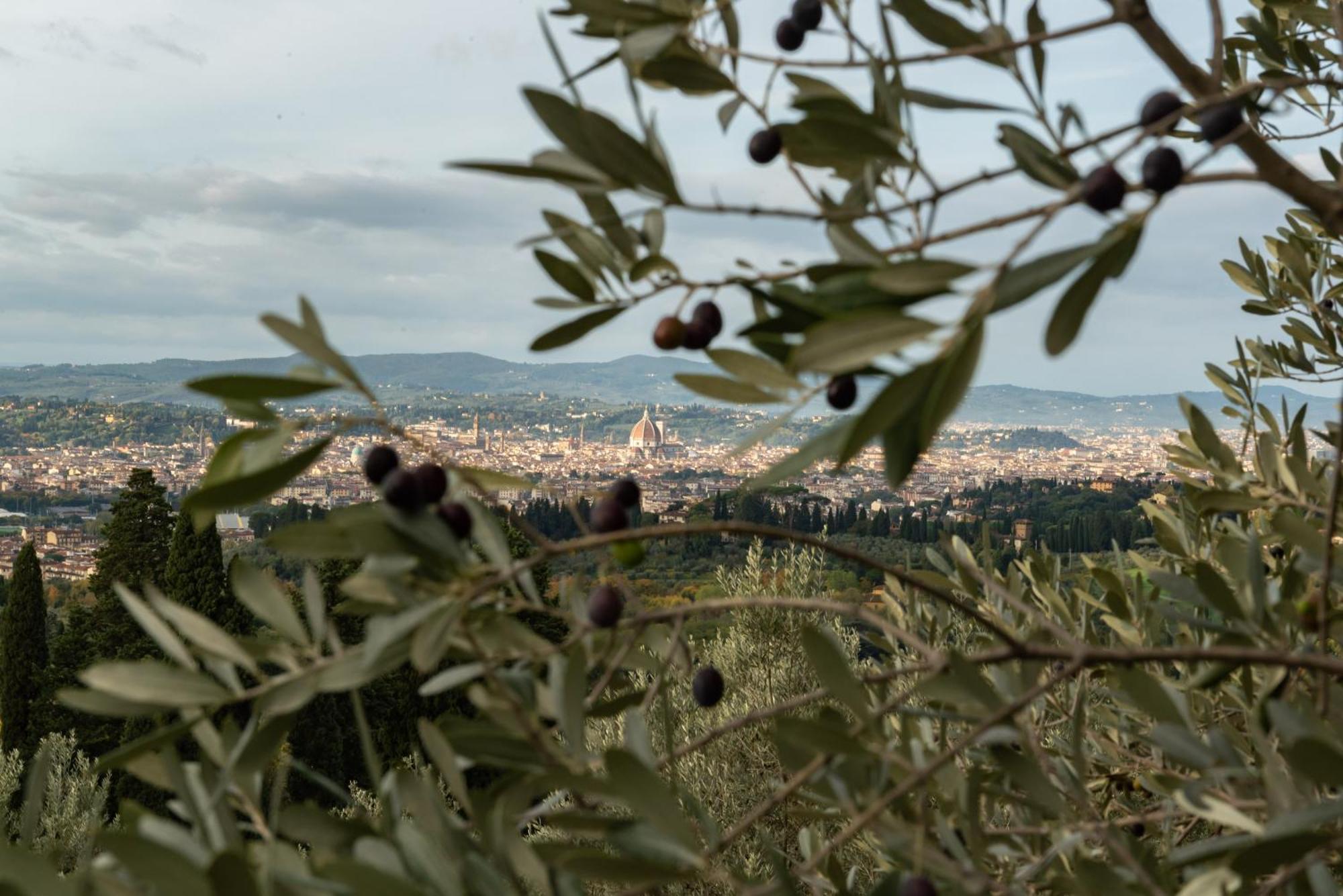 Agriturismo Fattoria Di Maiano Villa Fiesole Dış mekan fotoğraf