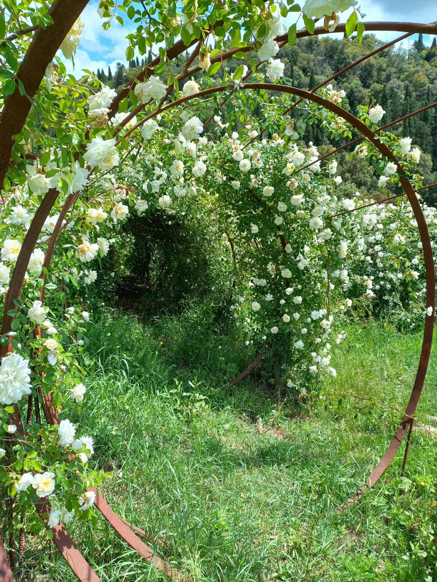 Agriturismo Fattoria Di Maiano Fiesole Dış mekan fotoğraf
