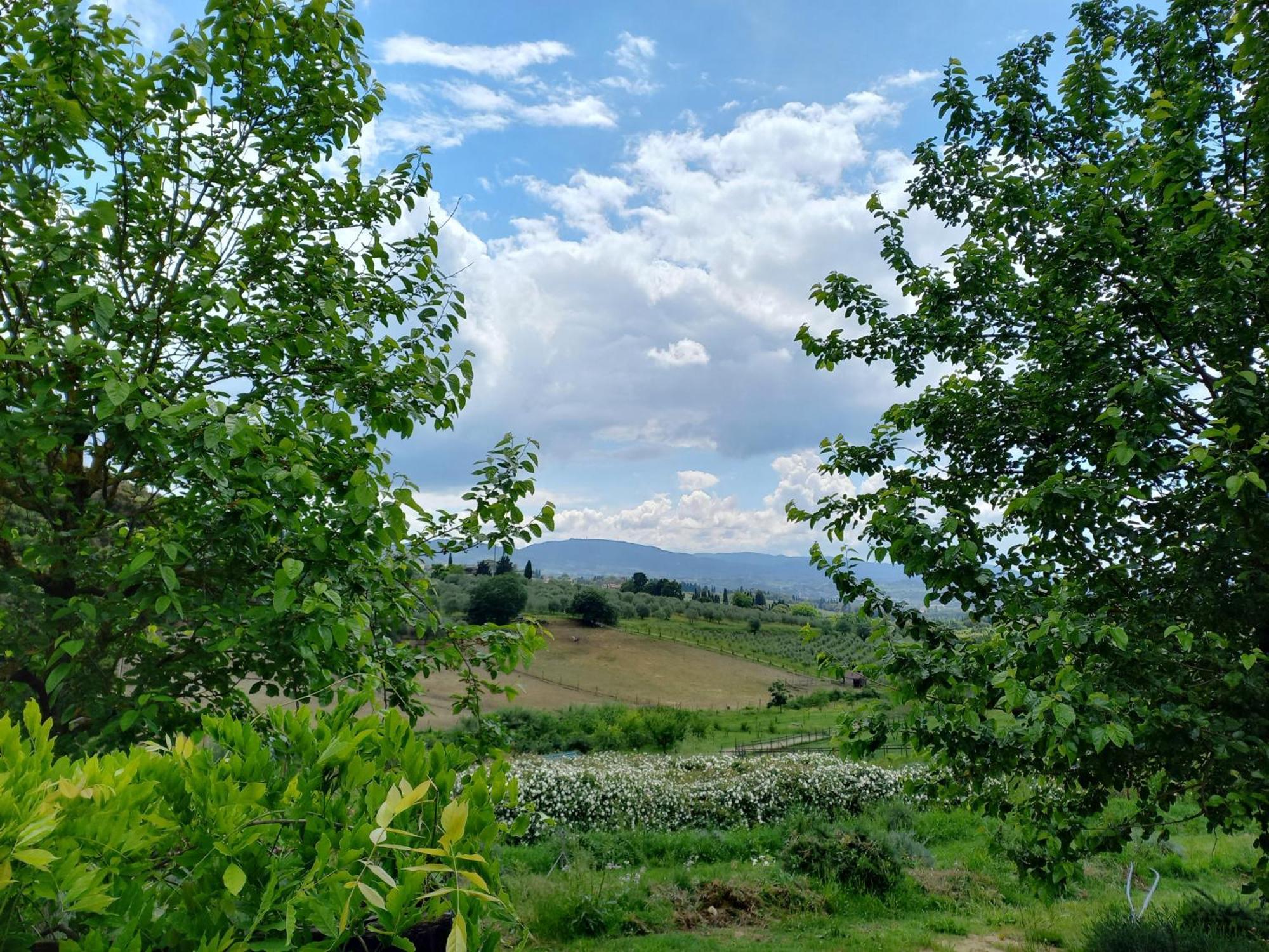 Agriturismo Fattoria Di Maiano Fiesole Dış mekan fotoğraf