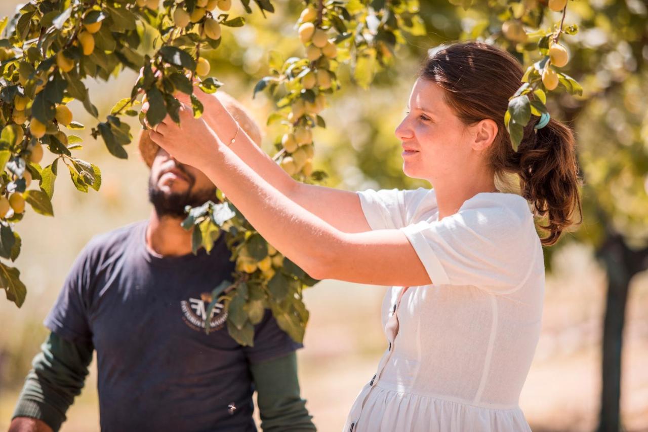 Agriturismo Fattoria Di Maiano Fiesole Dış mekan fotoğraf